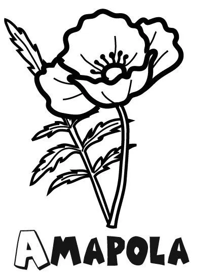 16178-4-dibujos-amapola-1.jpg