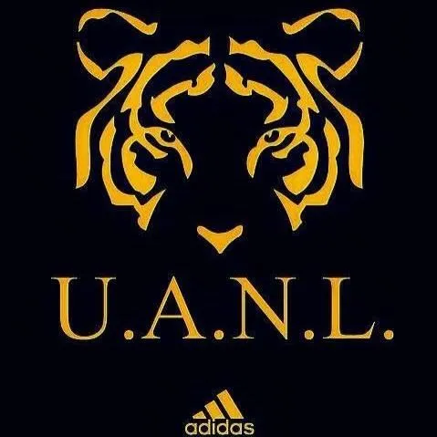 17 Best images about Tigres UANL on Pinterest | Football kits ...