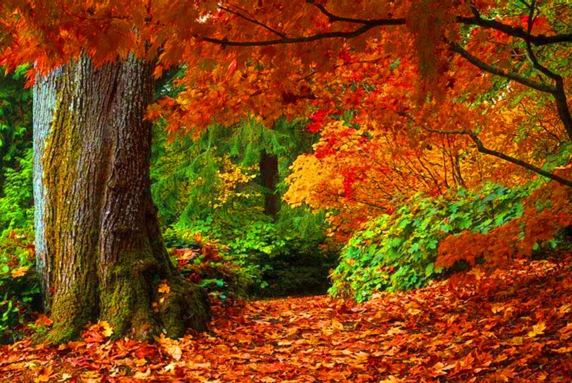 17 beste ideer om Paisajes En Hd på Pinterest | Flores hd ... 17 beste ideer om Paisajes En Hd på Pinterest | Flores hd ...