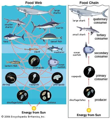17 | junio | 2011 | MEDITS_ES05_11