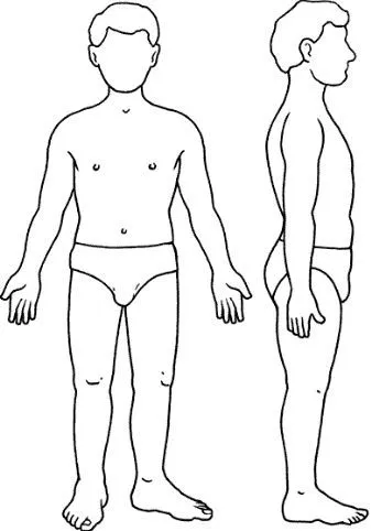 17 mejores ideas sobre Silueta Humana en Pinterest | Proporciones ... 17 mejores ideas sobre Silueta Humana en Pinterest | Proporciones ...