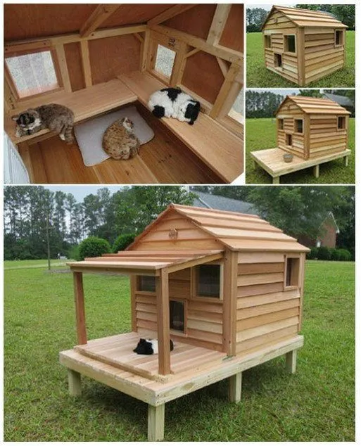 17 mejores ideas sobre Casas De Perros en Pinterest | Habitaciones ... 17 mejores ideas sobre Casas De Perros en Pinterest | Habitaciones ...