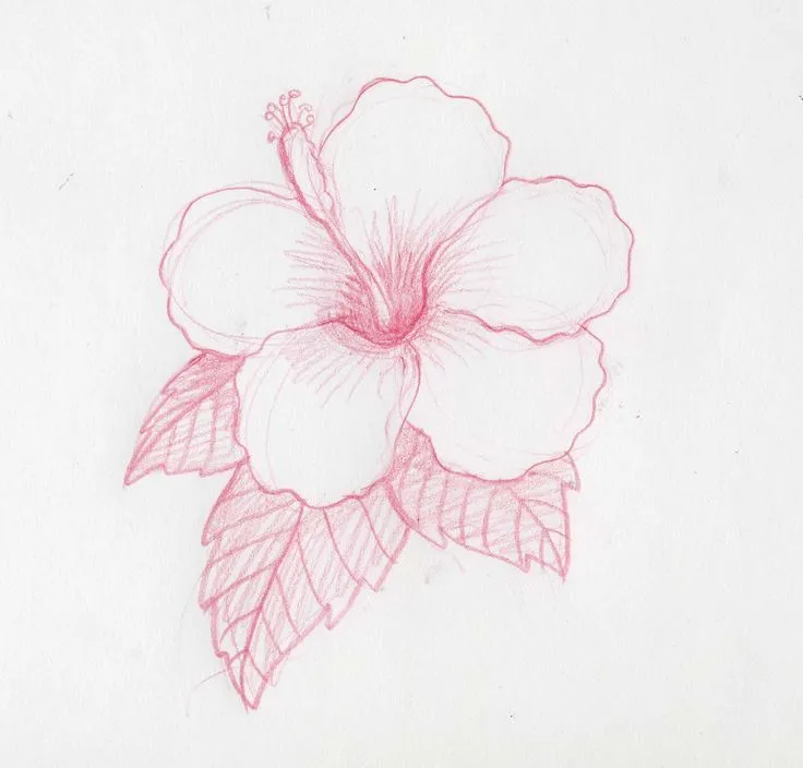 17 mejores ideas sobre Dibujar Flores en Pinterest | Dibujos de ... 17 mejores ideas sobre Dibujar Flores en Pinterest | Dibujos de ...