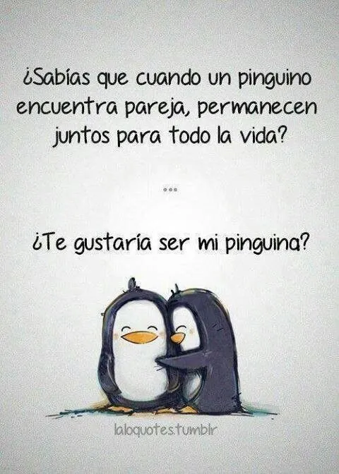 amor de pinguino y de por vida www.familias.com | Amor... | Pinterest