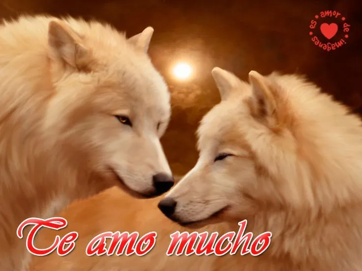 17 mejores ideas sobre Imagenes De Lobos Enamorados en Pinterest ...