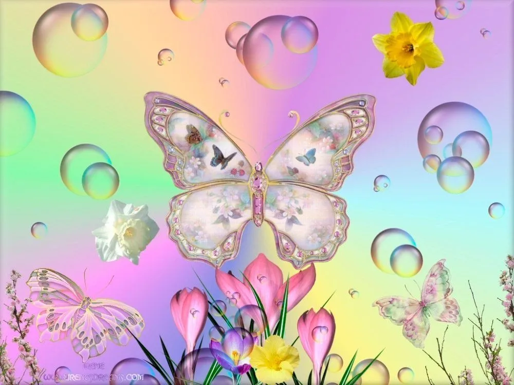 17 mejores ideas sobre Imagenes De Mariposas Bonitas en Pinterest ... 17 mejores ideas sobre Imagenes De Mariposas Bonitas en Pinterest ...