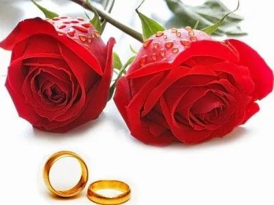 17 mejores ideas sobre Rosas Rojas Hermosas en Pinterest ... 17 mejores ideas sobre Rosas Rojas Hermosas en Pinterest ...