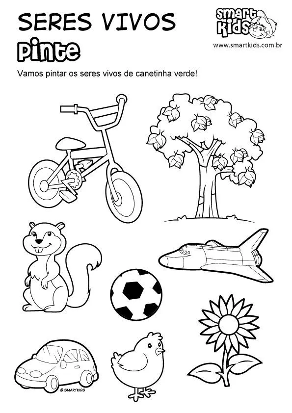 17 mejores ideas sobre Seres Vivos E Inertes en Pinterest | Seres ... 17 mejores ideas sobre Seres Vivos E Inertes en Pinterest | Seres ...