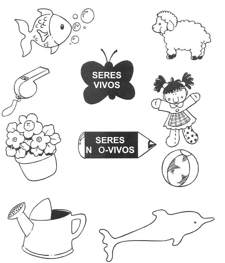 17 mejores ideas sobre Seres Vivos E Inertes en Pinterest | Seres ... 17 mejores ideas sobre Seres Vivos E Inertes en Pinterest | Seres ...
