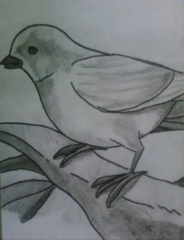 17 mejores imágenes sobre dibujos artisticos en Pinterest | Ariana ... 17 mejores imágenes sobre dibujos artisticos en Pinterest | Ariana ...