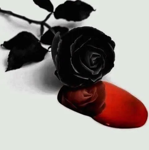 17 mejores imágenes sobre Rosas Negras en Pinterest | Boda gótica ... 17 mejores imágenes sobre Rosas Negras en Pinterest | Boda gótica ...