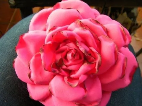17 ROSA DE TELA, FLOR HECHA A MANO, ROSA DE FLAMENCA, ORIGAMI ... 17 ROSA DE TELA, FLOR HECHA A MANO, ROSA DE FLAMENCA, ORIGAMI ...