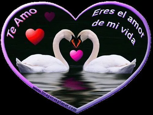 17 Terbaik ide tentang Imagenes De Amor Movimiento di Pinterest ...