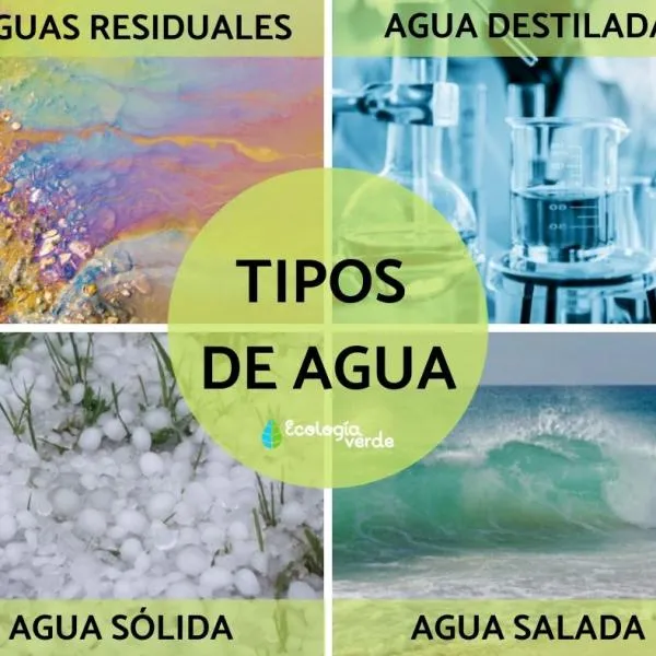 17 TIPOS de AGUA - clasificación, nombres, características y fotos