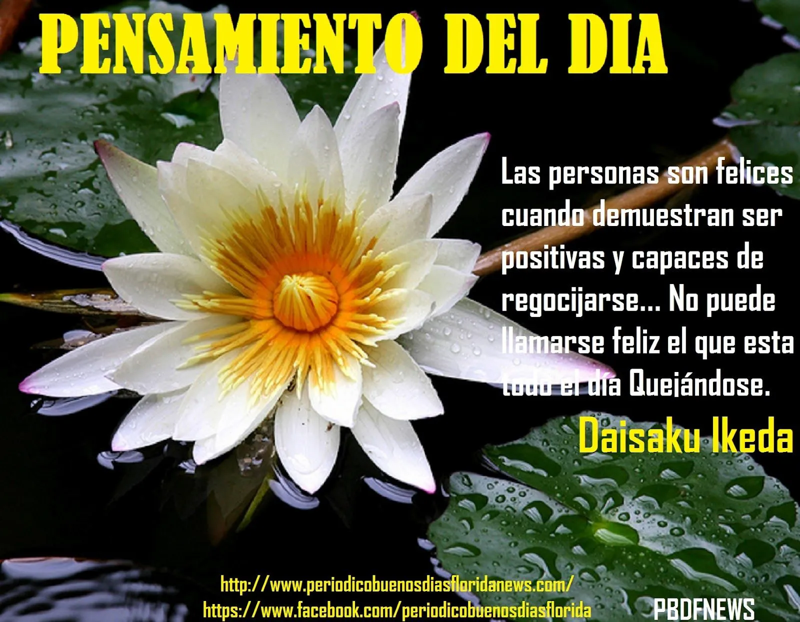 17/04/12 ~ Periódico Mundo News 17/04/12 ~ Periódico Mundo News