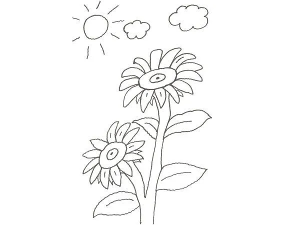 17646-4-dibujo-de-dos-flores- ...