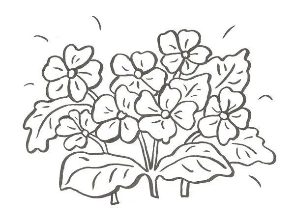 Imprimir: Dibujo de un ramo de flores para colorear con niños