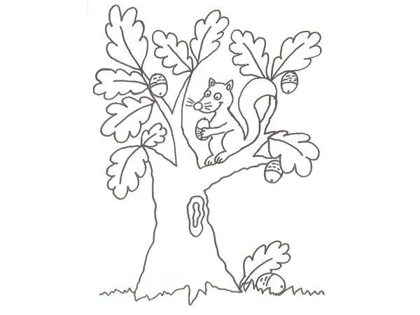 17663-4-dibujo-de-una-ardilla- ...