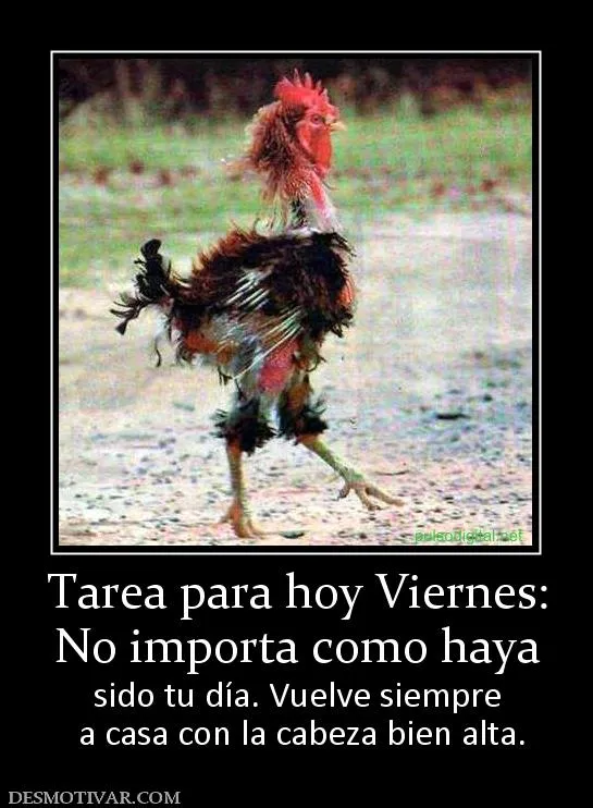 Desmotivaciones Viernes