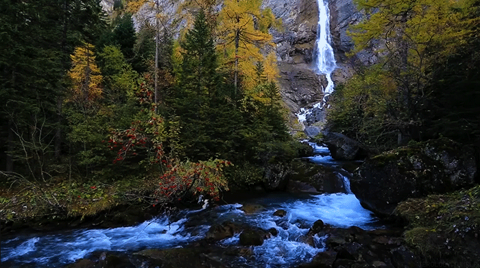 La belleza de la naturaleza en movimiento - Taringa! La belleza de la naturaleza en movimiento - Taringa!