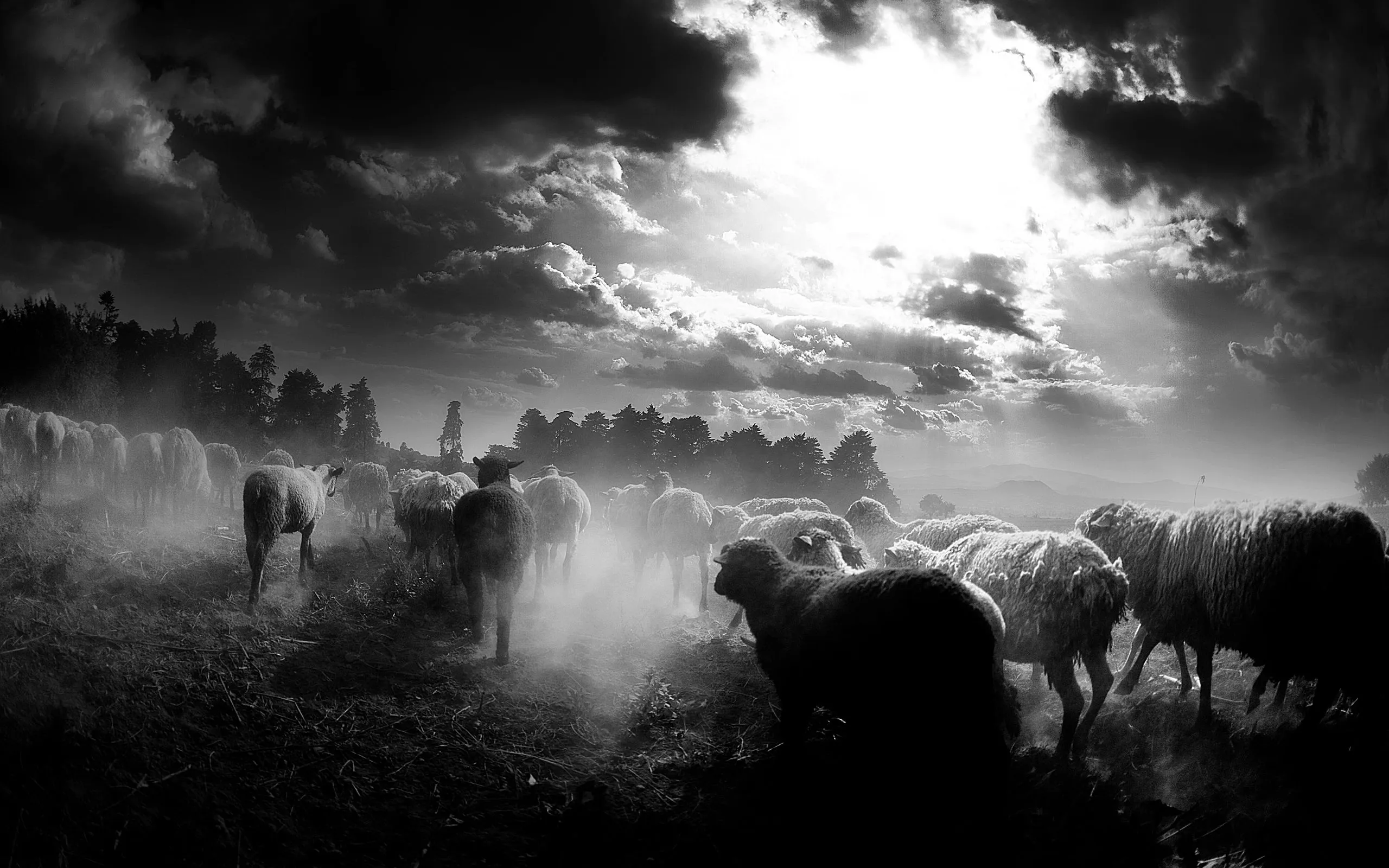 18 Wallpapers color Blanco y Negro « el50
