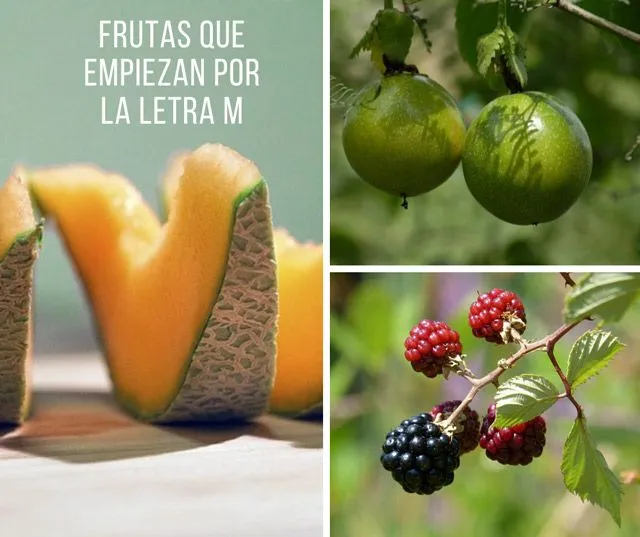 Las 19 frutas que empiezan con M más conocidas Las 19 frutas que empiezan con M más conocidas