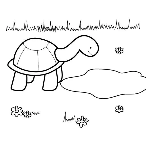 tortuga de carey Colouring Pages (page 2)
