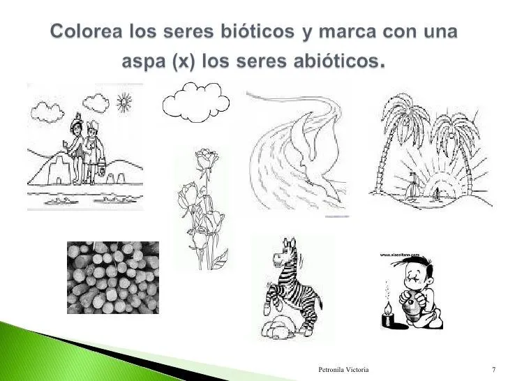 1era Clase