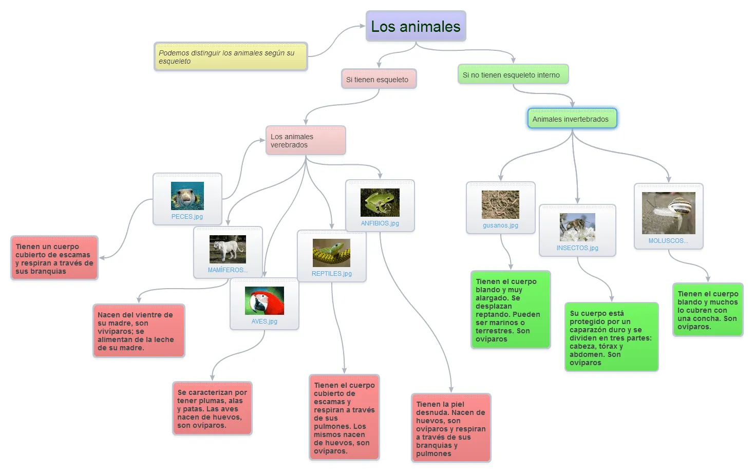 2º ciclo :: Virtuanimales