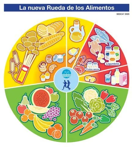 2º A Colegio Pilar Izquierdo: ESTAMOS ESTUDIANDO... 2º A Colegio Pilar Izquierdo: ESTAMOS ESTUDIANDO...
