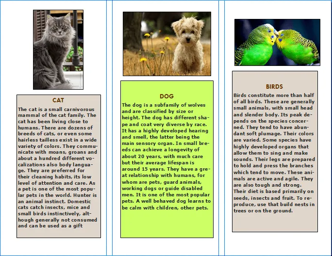 20 animales domésticos en inglés - Imagui