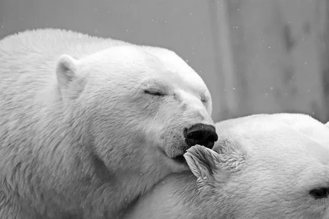 20 datos interesantes sobre el amor | Marcianos