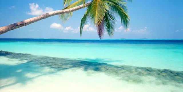 20 Fondos de pantalla con Playas [wallpapers]