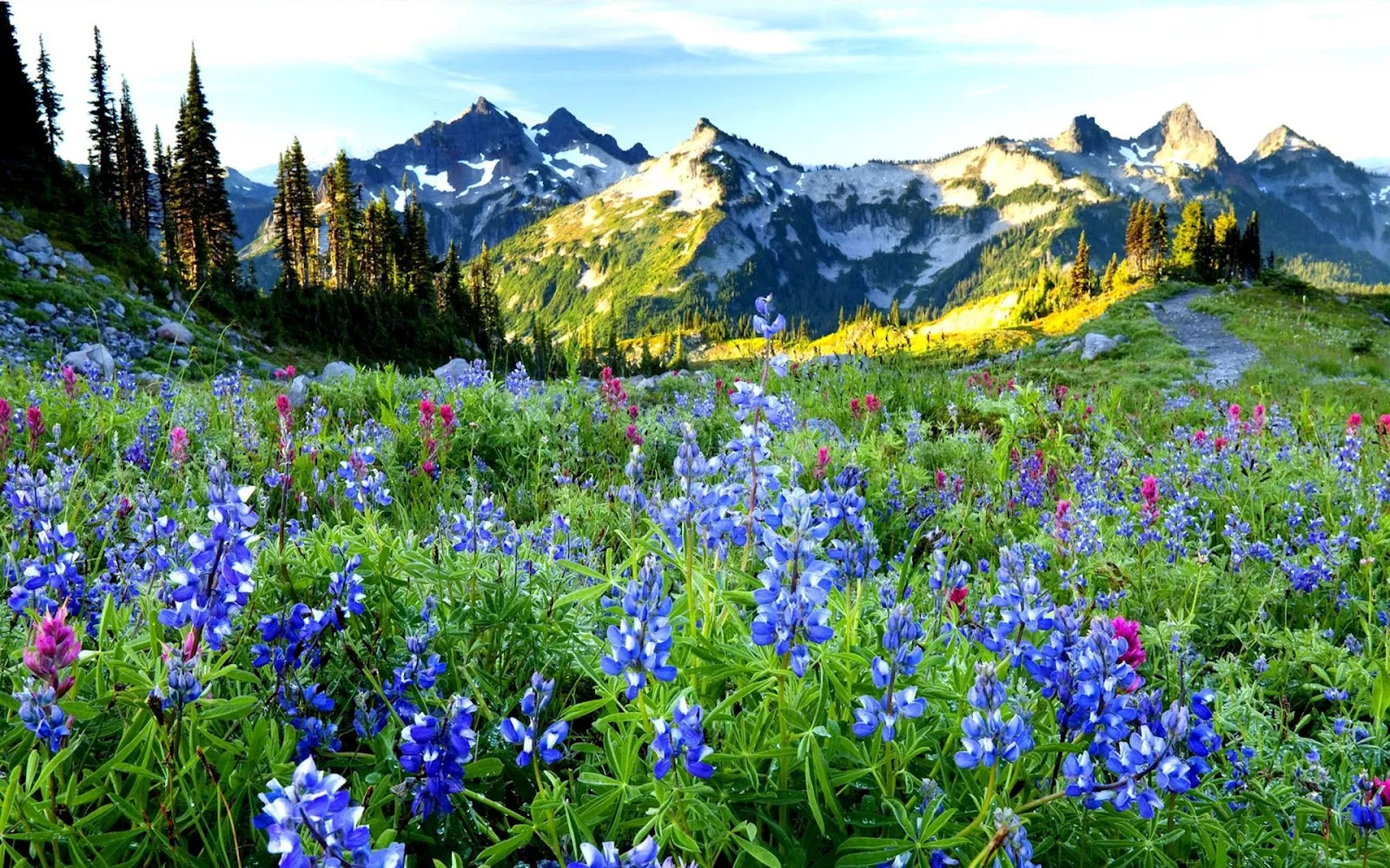 20 fotografías de paisajes para la portada de tu facebook | Banco ... 20 fotografías de paisajes para la portada de tu facebook | Banco ...