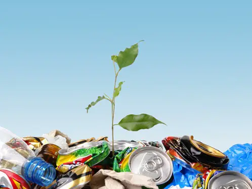20 Frases sobre reciclaje | Conciencia Eco