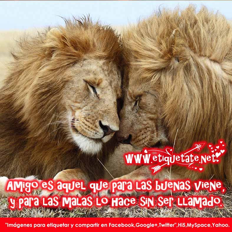 20 Imágenes de Amistad con Frases Lindas para compartir - Taringa! 20 Imágenes de Amistad con Frases Lindas para compartir - Taringa!