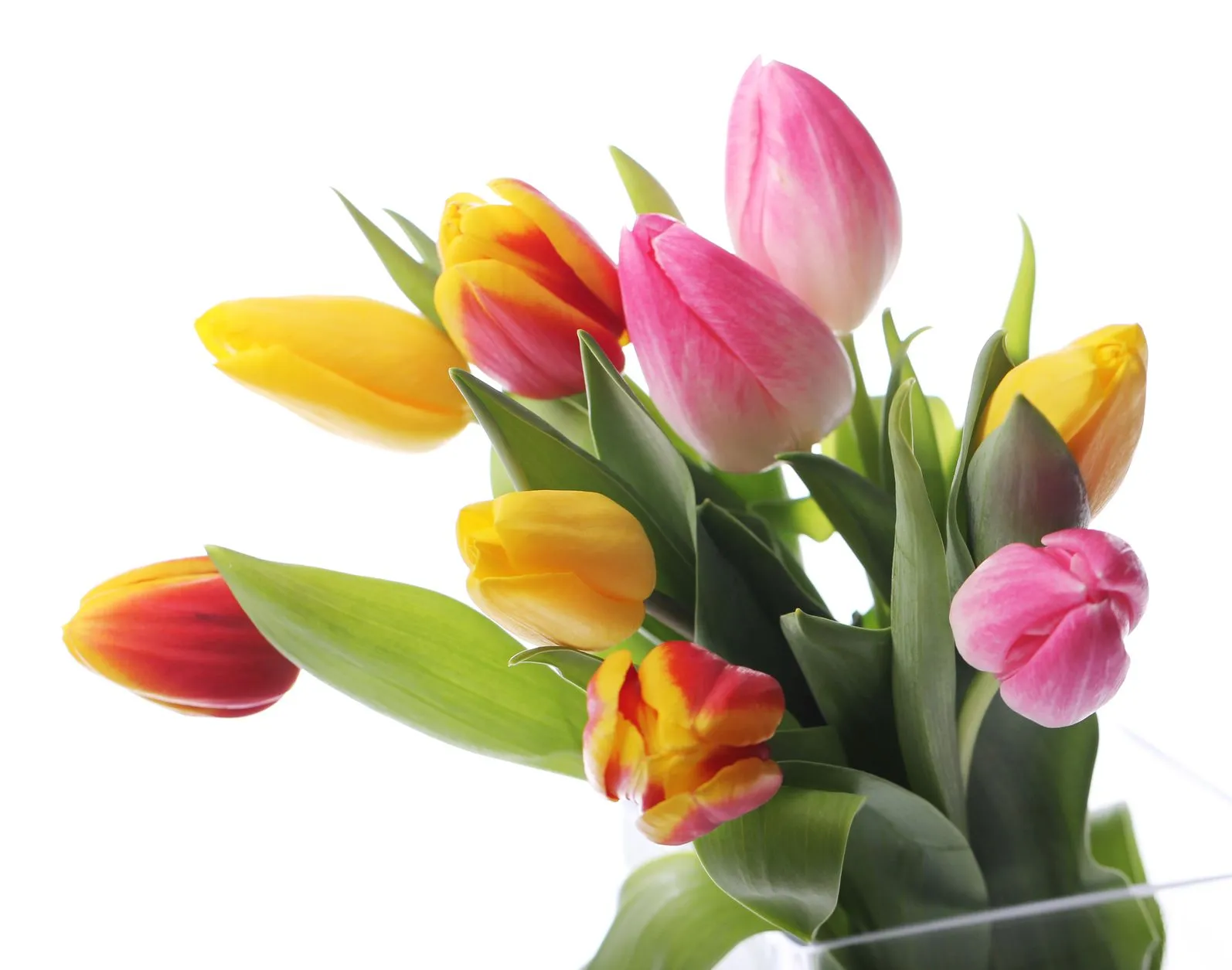 20 Imágenes de Amor por el Día de San valentin para compartir en ...