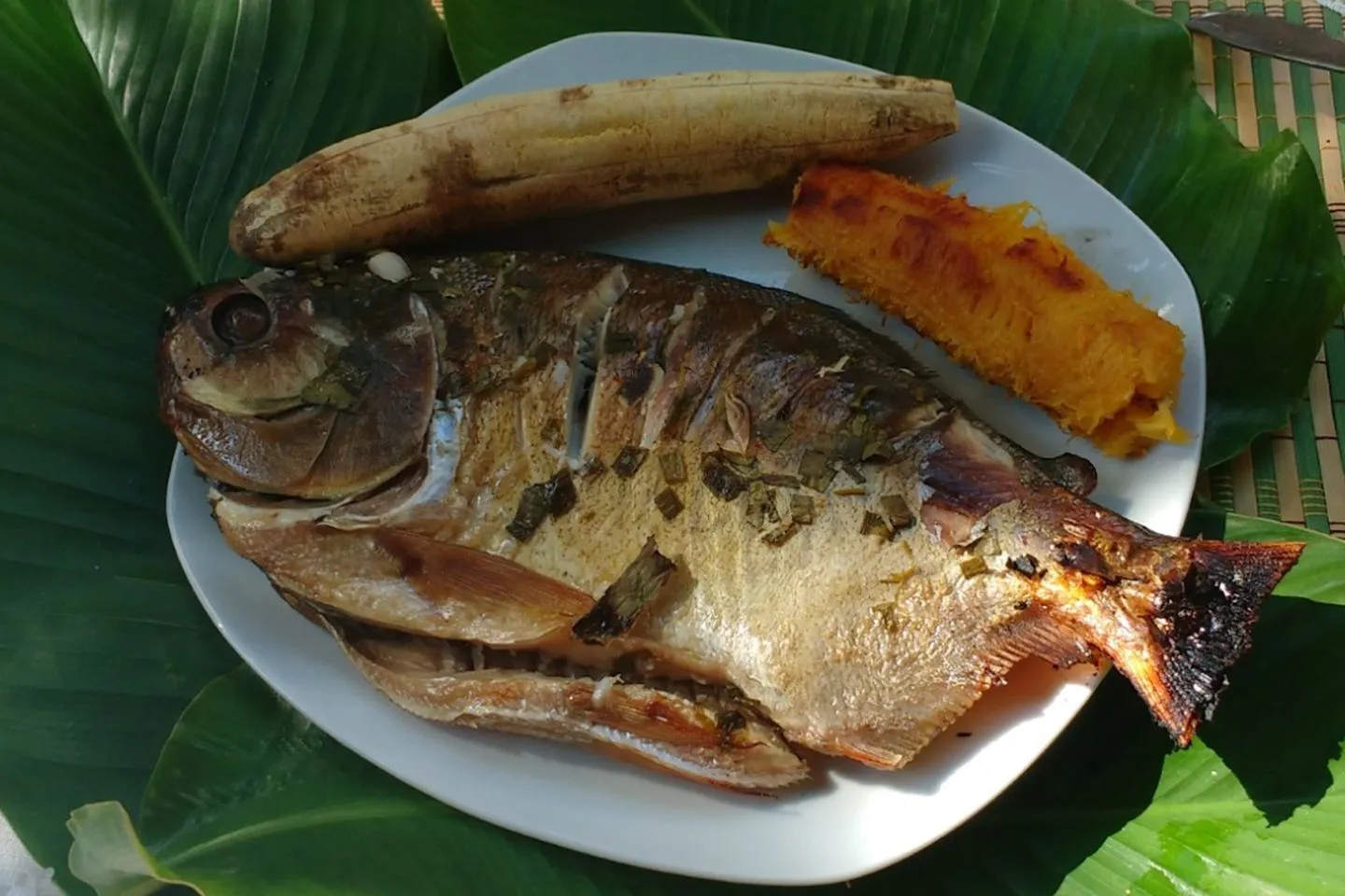 20 platos típicos de la Selva Peruana que tienes que probar - Tips Para Tu Viaje 20 platos típicos de la Selva Peruana que tienes que probar - Tips Para Tu Viaje