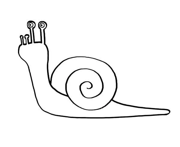 20041-4-un-caracol-dibujo-para ...