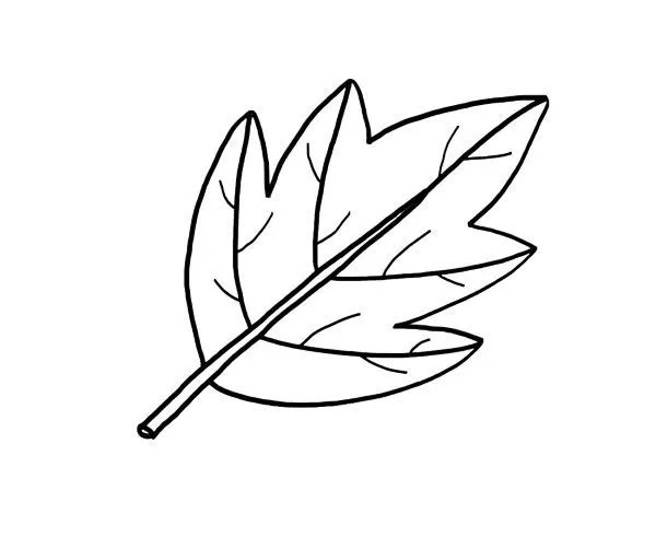 Dibujos de hojas de arboles para colorear e imprimir - Imagui Dibujos de hojas de arboles para colorear e imprimir - Imagui
