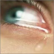 20070511112738-llorando.jpg