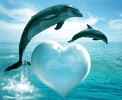 DELFINES ENAMORADOS!! | espeyroci