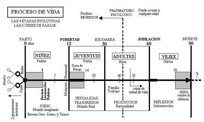 Proceso de vida | las 4 etapas evolutivas | las 6 crisis de pasaje ... Proceso de vida | las 4 etapas evolutivas | las 6 crisis de pasaje ...
