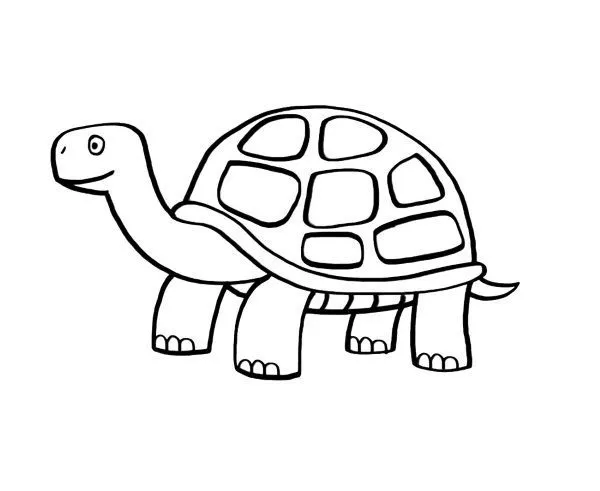 20083-4-tortuga-dibujo-para- ...