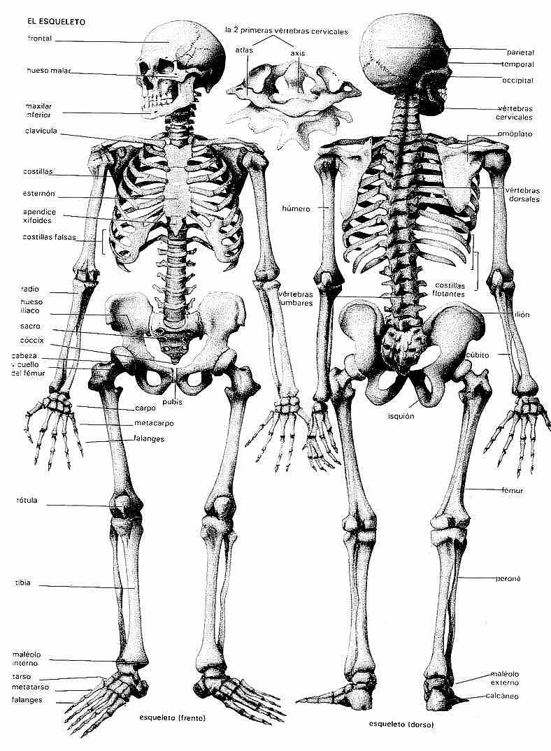 2009 agosto 17 « PARA JEFATURAS REGIONALES Y DISTRITALES