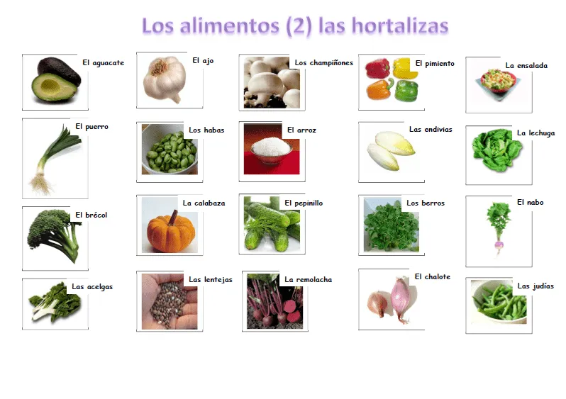 Adelante » Las hortalizas