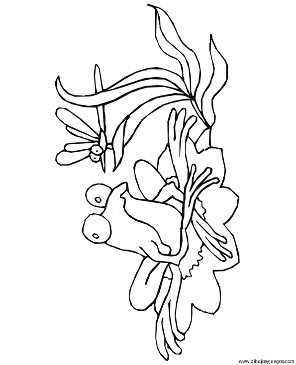 dibujo-de-rana-089 | Dibujos y juegos, para pintar y colorear dibujo-de-rana-089 | Dibujos y juegos, para pintar y colorear