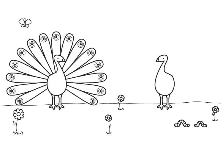 20112-4-pavos-reales-dibujo- ...
