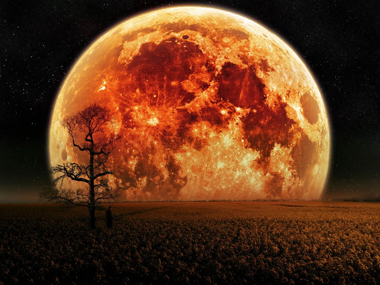 2012 odisea del espacio: La Luna ¿descomunal proyecto artificial?
