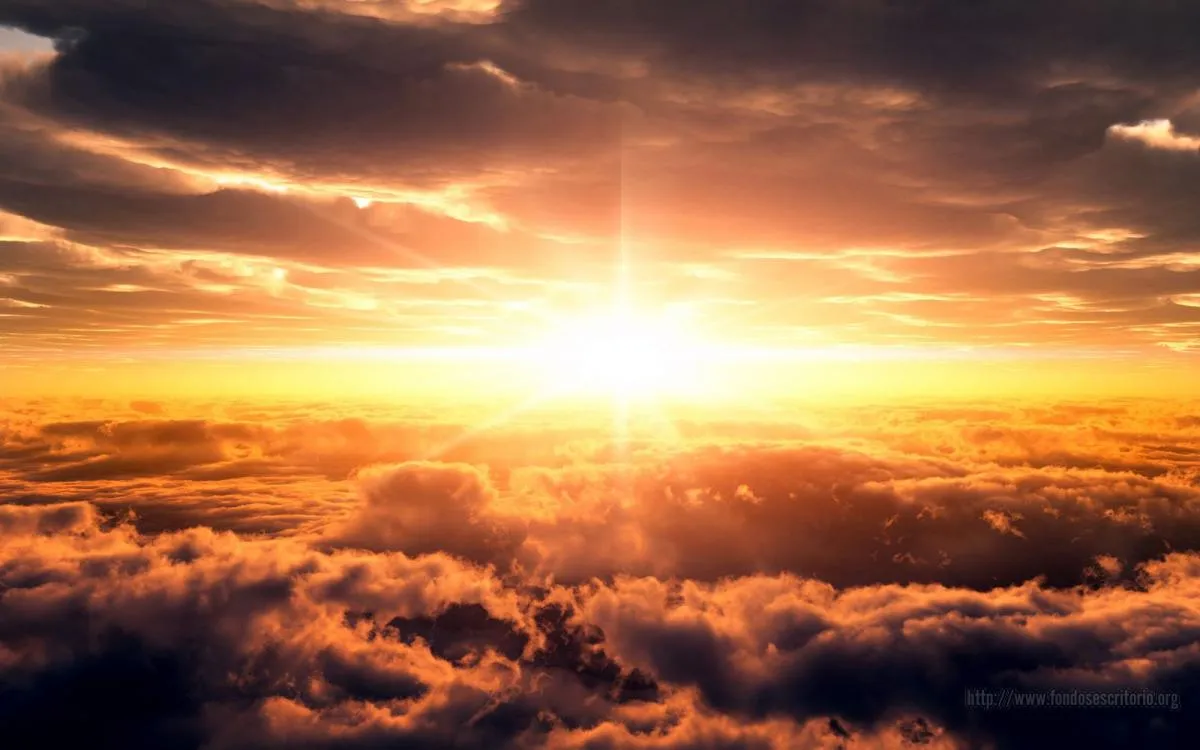 2014-11-02: Lectio Divina: 2014-11-02: Lectio Divina: